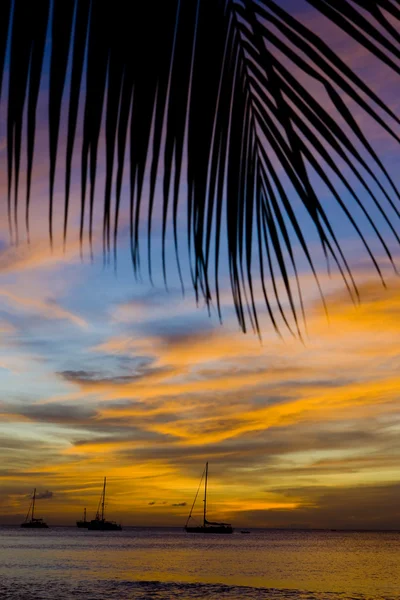 Puesta de sol sobre el mar Caribe, Grand Anse Bay, Granada — Foto de Stock