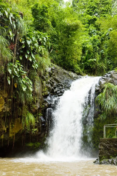 Annadale Falls, Grenada — Stock fotografie