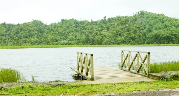 Grand etang jezioro, park narodowy grand etang, grenada — Zdjęcie stockowe