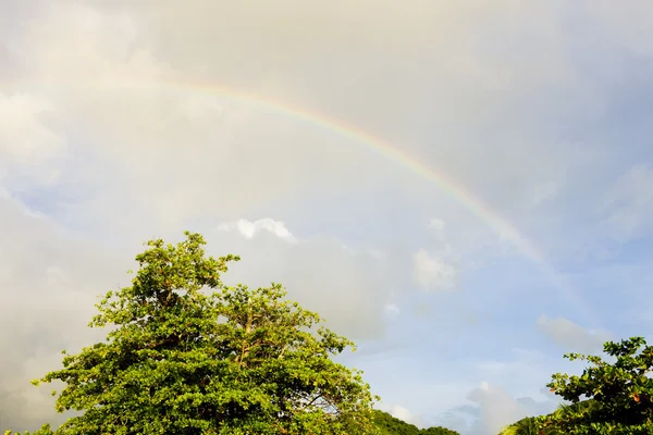 stock image Rainbow, Grenada