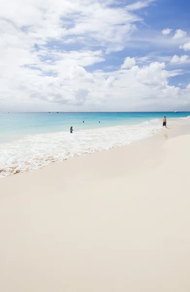 Organizace beach, barbados, Karibik — Stock fotografie