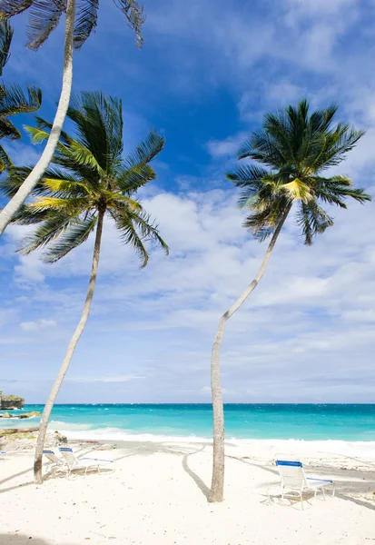 Bottom Bay, Barbados, Caribisch gebied — Stockfoto