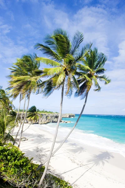 Bottom Bay, Barbados, Karaiby — Zdjęcie stockowe