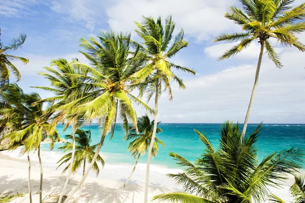 Bottom Bay, Barbados, Karib-térség — Stock Fotó