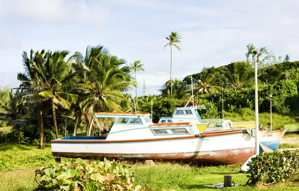 Barcos de pesca, Skeete 's Bay, Barbados — Fotografia de Stock
