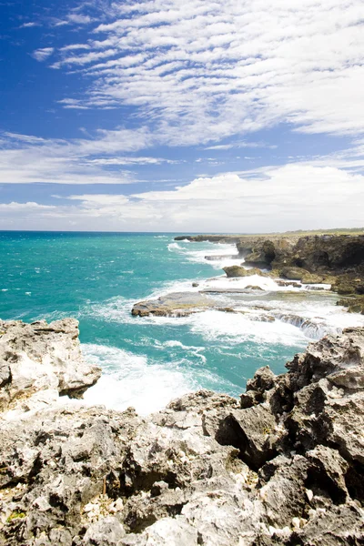Północ punkt, barbados, Karaiby — Zdjęcie stockowe