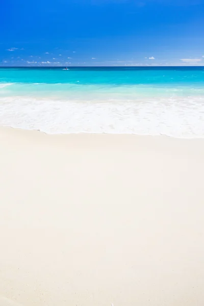 Maxwell beach, barbados, Karibik — Stock fotografie