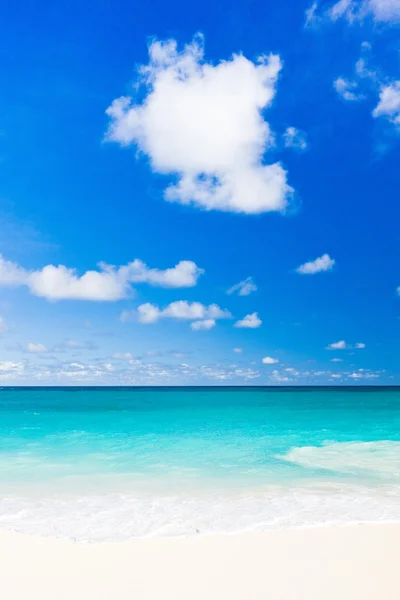 Falta bay, barbados, Caribe — Stockfoto