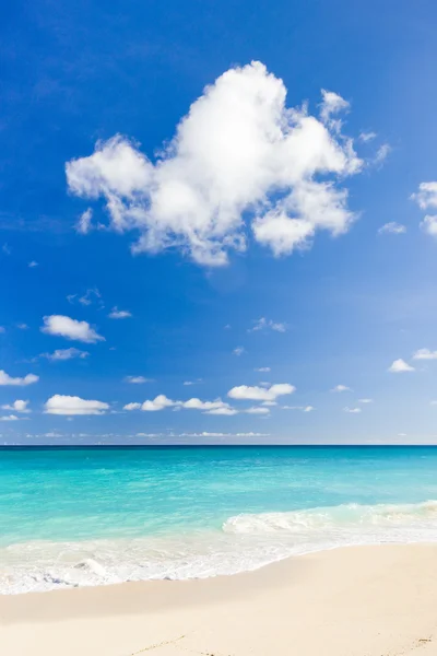 Falta bay, barbados, Caribe — Stockfoto