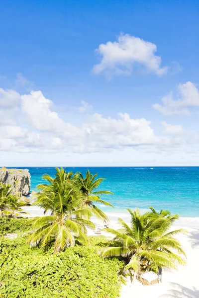 Bottom Bay, Barbados, Västindien — Stockfoto