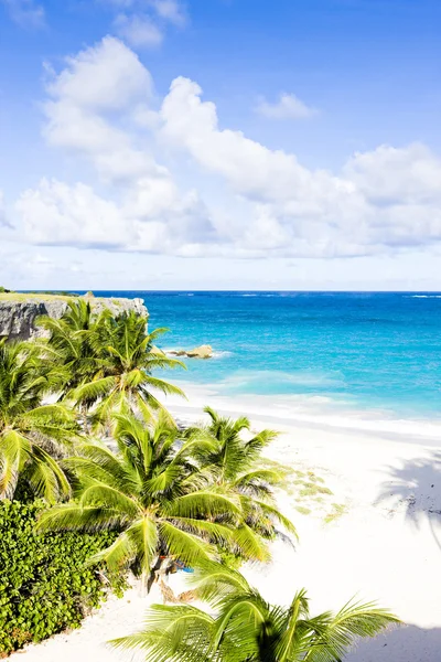 카리브해, 바베이도스, 맨 아래만 — 스톡 사진
