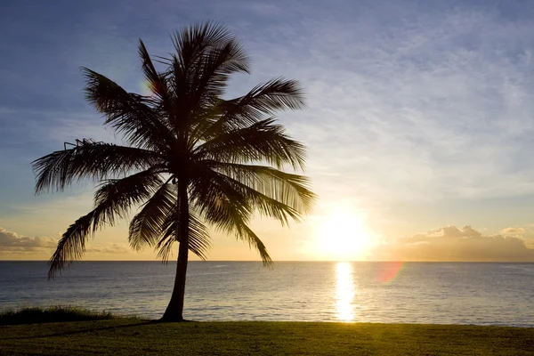 Solnedgång över Karibiska havet, barbados — Stockfoto