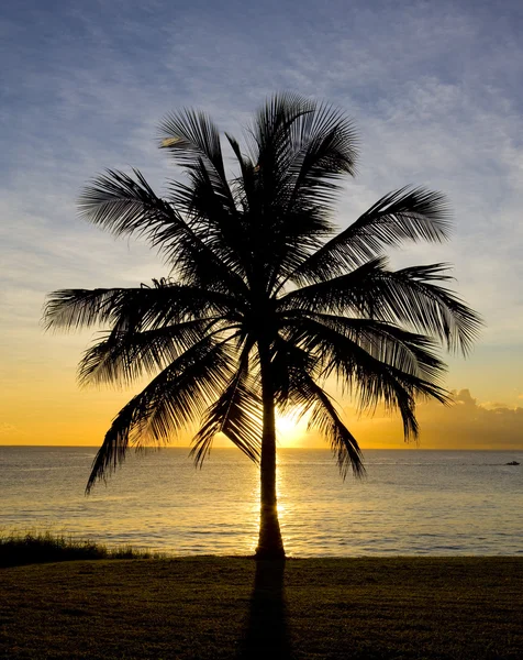 Zonsondergang over de Caribische zee, barbados — Stockfoto