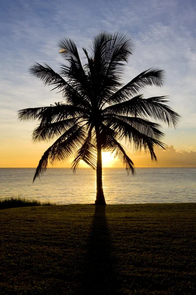 Günbatımı yere denizinde, barbados — Stok fotoğraf