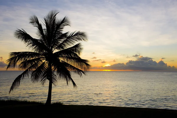 Pôr do sol sobre o Mar do Caribe, Barbados — Fotografia de Stock