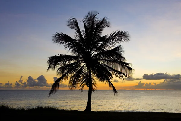 Zachód słońca nad Morzem Karaibskim, barbados — Zdjęcie stockowe