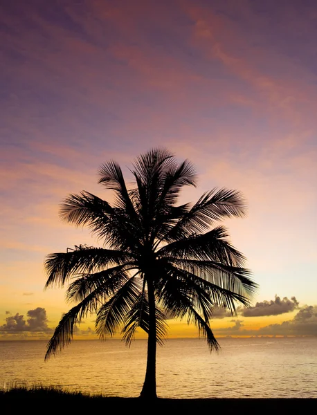 Coucher de soleil sur la mer des Caraïbes, Barbade — Photo