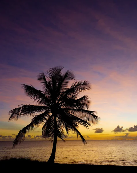 Закат над Карибским морем — стоковое фото