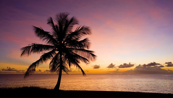 Západ slunce nad Karibským mořem, barbados — Stock fotografie