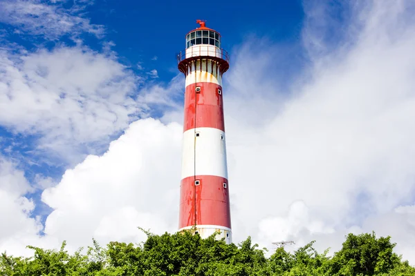 Güney noktası deniz feneri, barbados — Stok fotoğraf