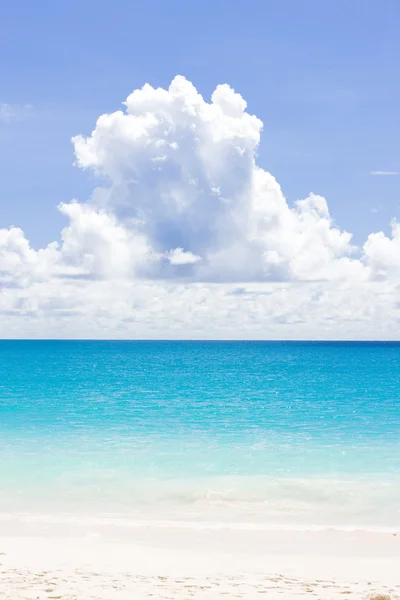 Vállalati beach, barbados, Karib-tenger — Stock Fotó