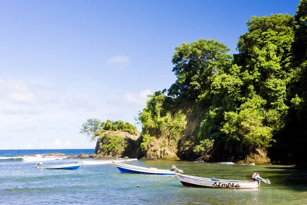 Culloden Bay, Tobago — Stockfoto