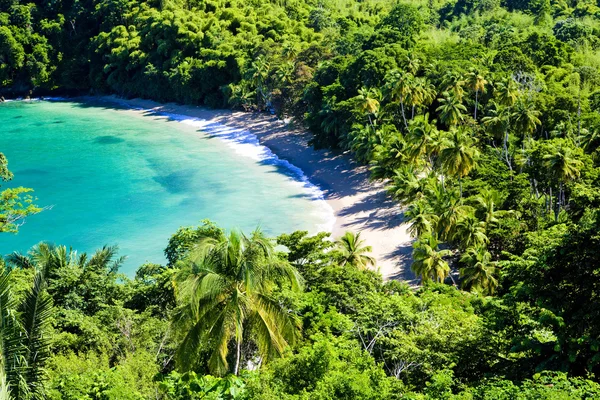 İngiliz Körfezi, Tobago — Stok fotoğraf