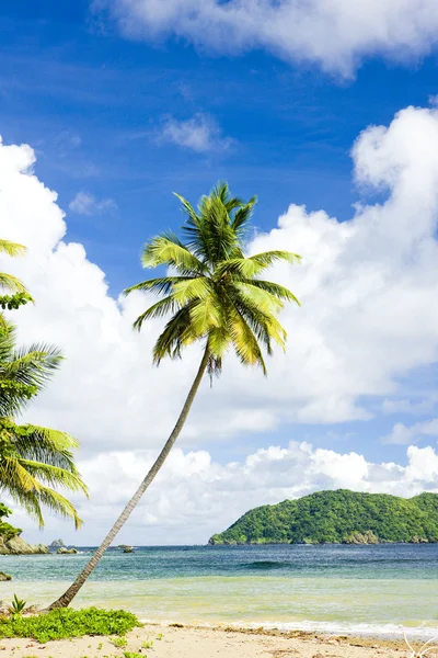 Bahía de Batteaux, Tobago — Foto de Stock