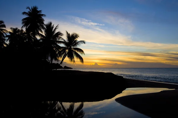 Zonsondergang over de Caribische zee, turtle beach, tobago — Stockfoto