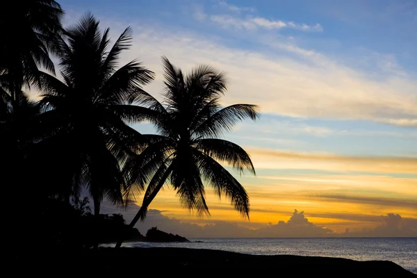 Zachód słońca nad Morzem Karaibskim, turtle beach, tobago — Zdjęcie stockowe