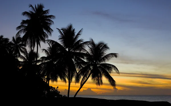 Zachód słońca nad Morzem Karaibskim, turtle beach, tobago — Zdjęcie stockowe