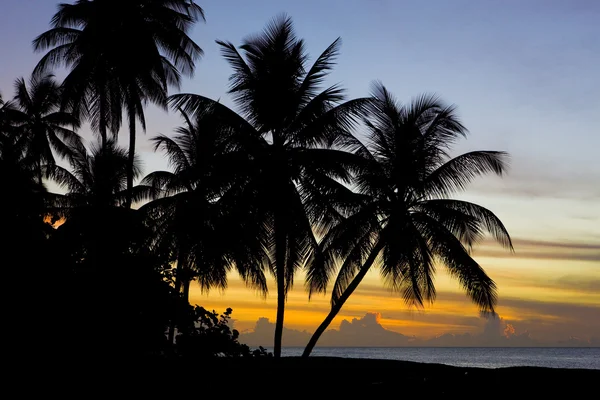 Pôr do sol sobre o mar do Caribe, Praia de tartaruga, Tobago — Fotografia de Stock