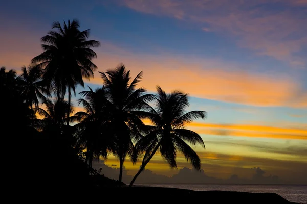 カリブ海、タートル ビーチ、トバゴに沈む夕日 — ストック写真