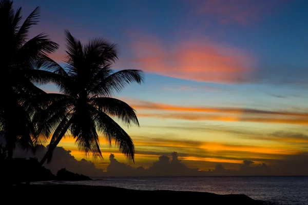 Tramonto sul Mar dei Caraibi, Spiaggia delle tartarughe, Tobago — Foto Stock