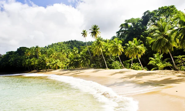 Englishman 's Bay, Tobago — Stockfoto