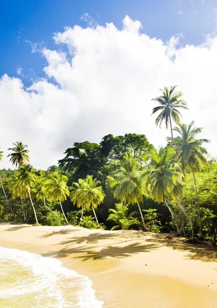 İngiliz Körfezi, Tobago — Stok fotoğraf