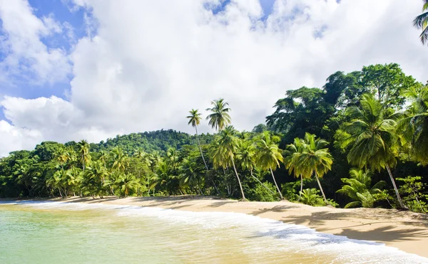 Engelsman Bay, Tobago — Stockfoto