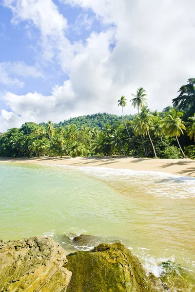 Bahía del Inglés, Tobago — Foto de Stock