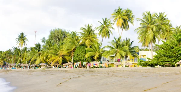 stock image Turtle Beach, Tobago