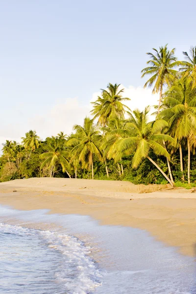 Playa Tortuga, tobago — Foto de Stock
