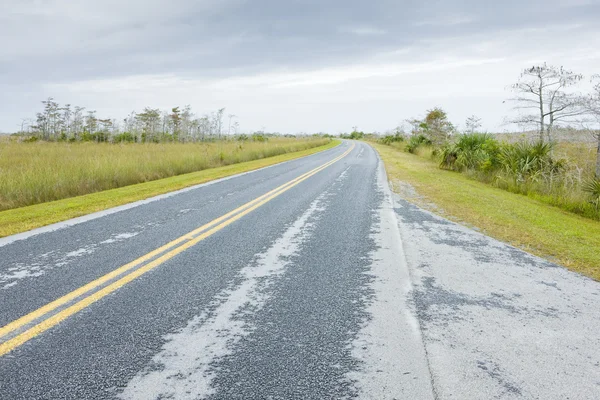 Estrada em Everglades National Park, Florida, EUA — Fotografia de Stock