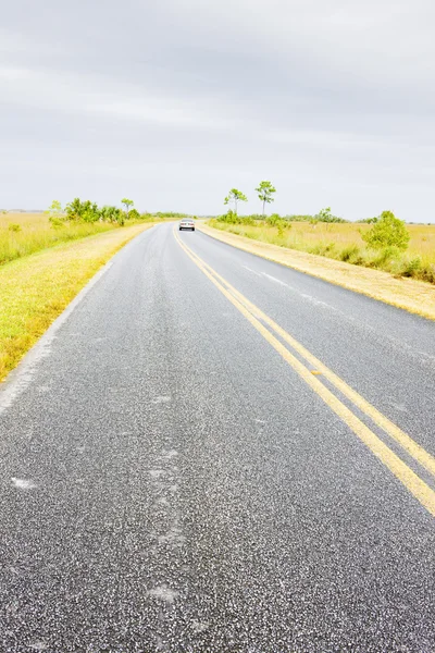 Дорога в национальном парке Эверфедс, Флорида, США — стоковое фото