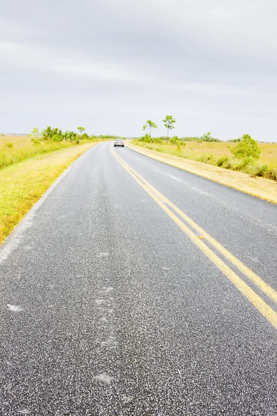 Strada nel Parco Nazionale delle Everglades, Florida, USA — Foto Stock