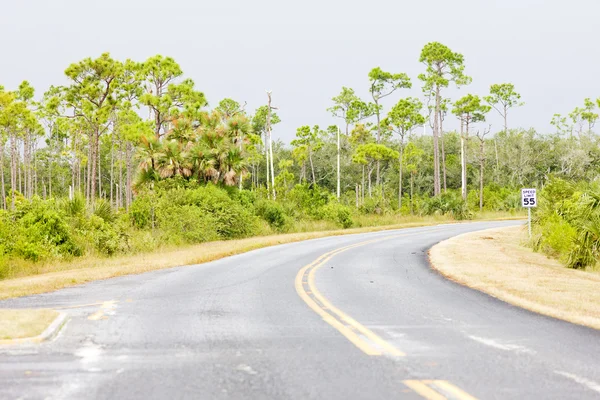 Δρόμος στο Everglades National Park, Φλόριντα, ΗΠΑ — Φωτογραφία Αρχείου