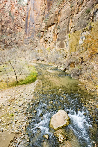 Zion Nationalpark, Utah, USA — Stockfoto