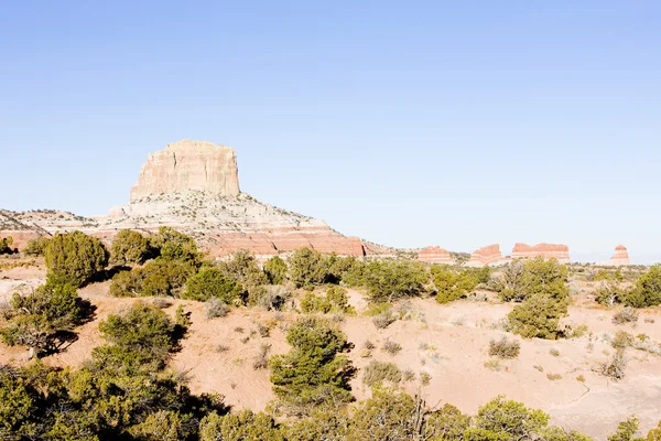 Landschaft von arizona, USA — Stockfoto