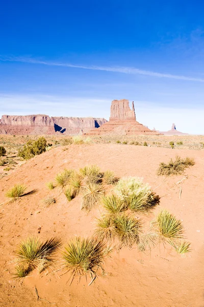Рукавиця, пам'ятник долини Національний парк, штат Юта Арізона, США — стокове фото