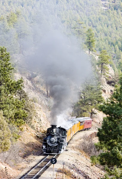 Durango silverton smalspoor spoorweg, colorado, usa — Stockfoto