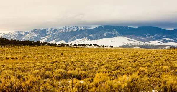 San Juan Mountains, Colorado, Stati Uniti d'America — Foto Stock