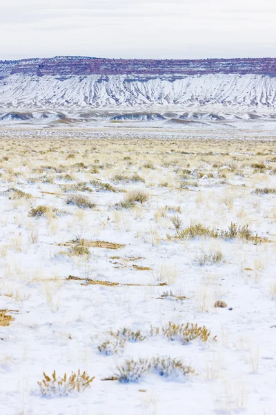 Zimowy krajobraz z colorado, Stany Zjednoczone Ameryki — Zdjęcie stockowe